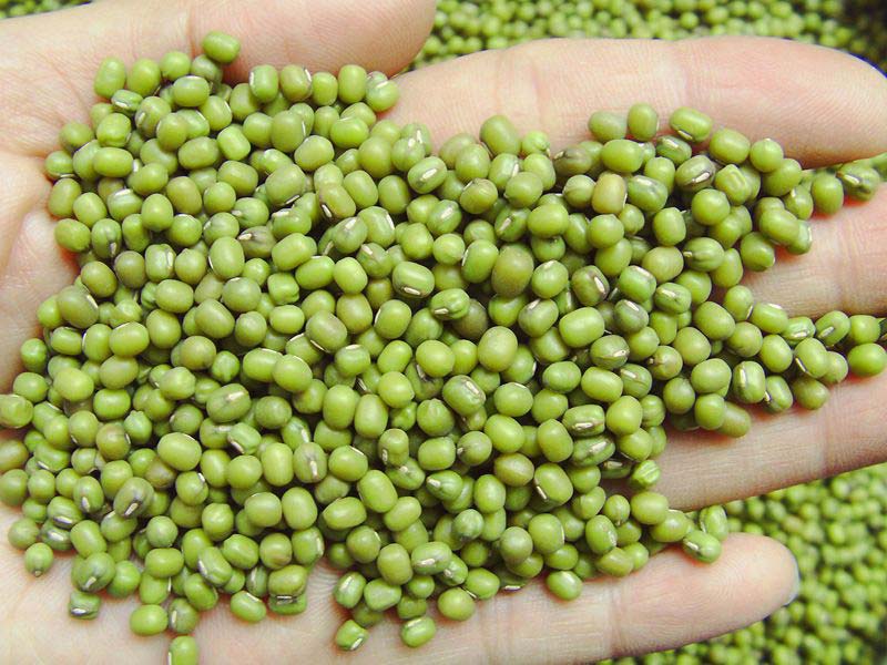 Green Mung Beans For Sale