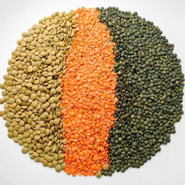Red And Green Lentils For Sale