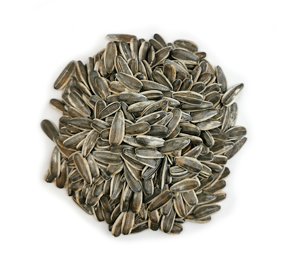 Sunflower Seeds For Sale