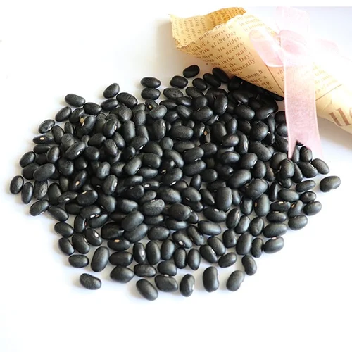 Black Kidney Beans For Sale