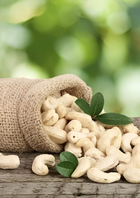 Trusted by partners worldwide, we are your best choice for quality, consistency, and value in African nuts.