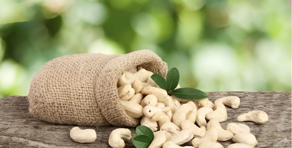 Trusted by partners worldwide, we are your best choice for quality, consistency, and value in African nuts.