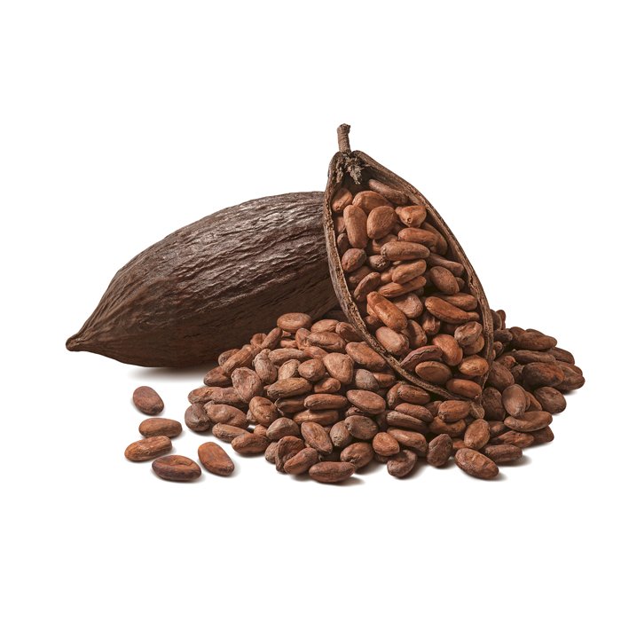 Cocoa Beans For Sale