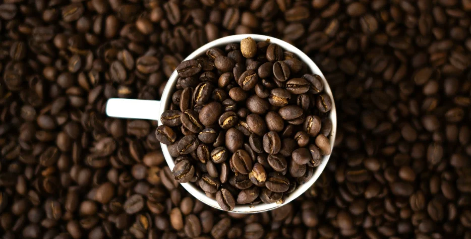 Our expertise, strong supply chain, and customer-focused approach make us the trusted choice for grain solutions across Africa.